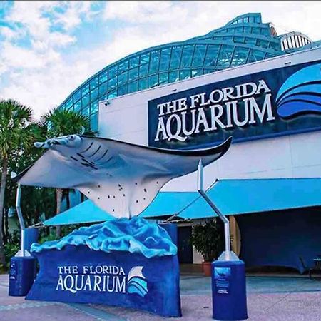 Minutes To Fairgrounds, Hard Rock, & Busch Gardens Villa Tampa Buitenkant foto